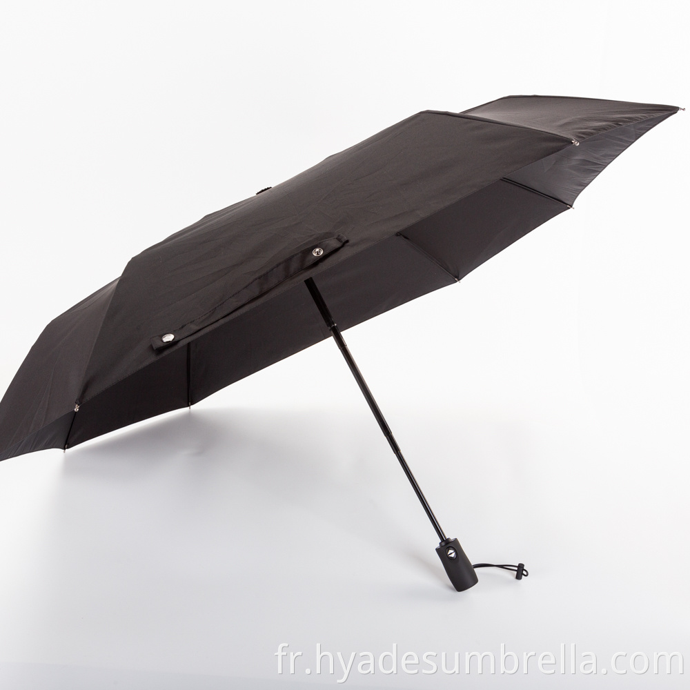 Raines Automatic Umbrella